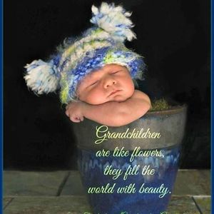 Meet your Posher, Linda